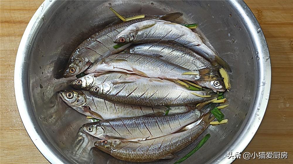 圖片[4]-【豆豉紅燒白條魚】做法步驟圖 做出來鮮香微辣 下飯真香-起舞食譜網(wǎng)