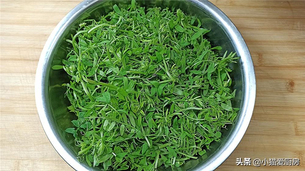 圖片[2]-【涼拌野豌豆苗】做法步驟圖 口感鮮嫩 味道鮮美-起舞食譜網