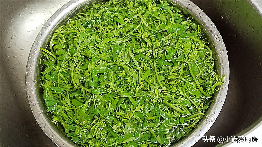 圖片[4]-【涼拌野豌豆苗】做法步驟圖 口感鮮嫩 味道鮮美-起舞食譜網