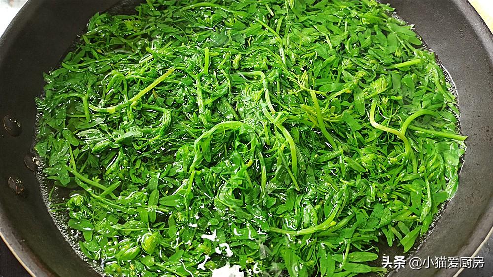圖片[5]-【涼拌野豌豆苗】做法步驟圖 口感鮮嫩 味道鮮美-起舞食譜網
