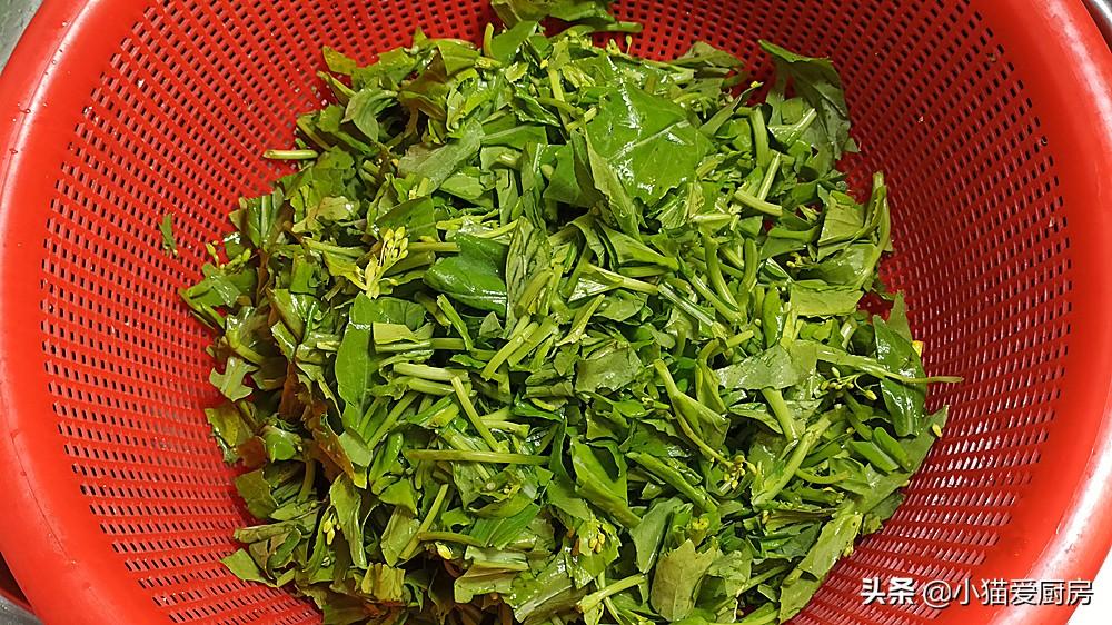 圖片[4]-【雞蛋炒油菜頭】做法步驟圖 做好后色澤金黃透綠 味道清香爽-起舞食譜網
