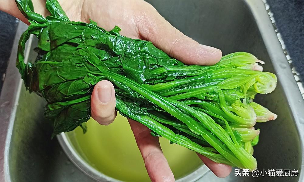 圖片[7]-【白灼菠菜】做法步驟圖 清香味美 吃完不長肉-起舞食譜網
