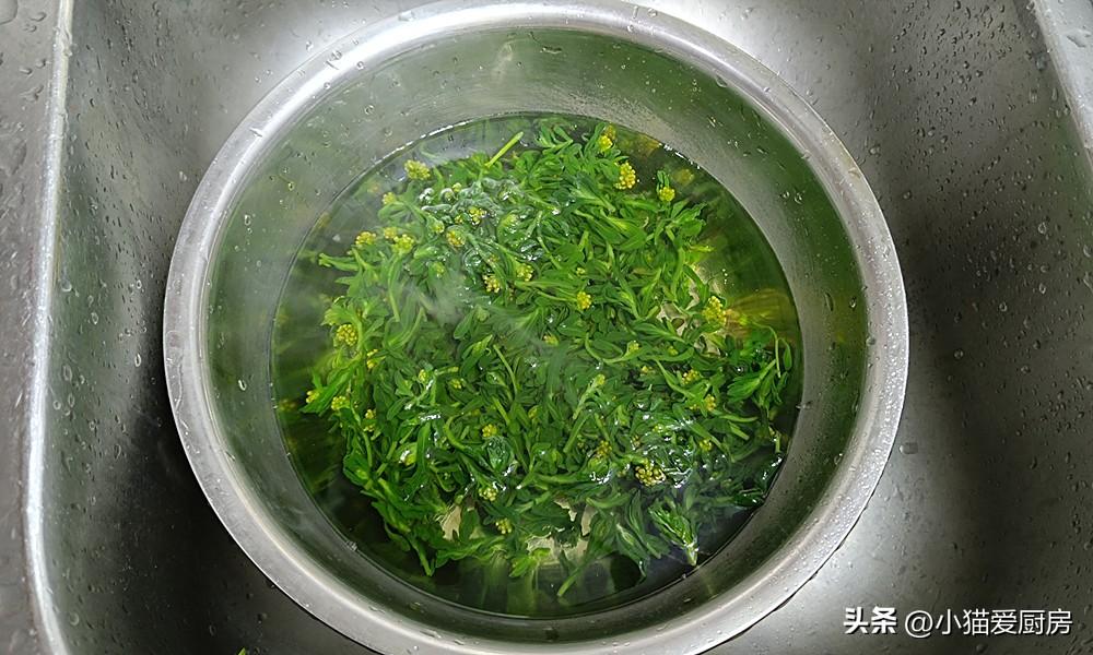 圖片[6]-【清明粑粑】做法步驟圖 軟糯香甜 特別好吃-起舞食譜網(wǎng)