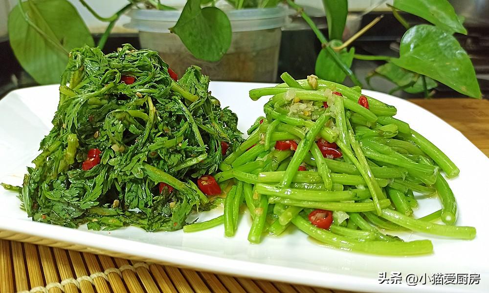 圖片[1]-【茼蒿兩吃】做法步驟圖 不同味道 特別爽口解膩-起舞食譜網(wǎng)