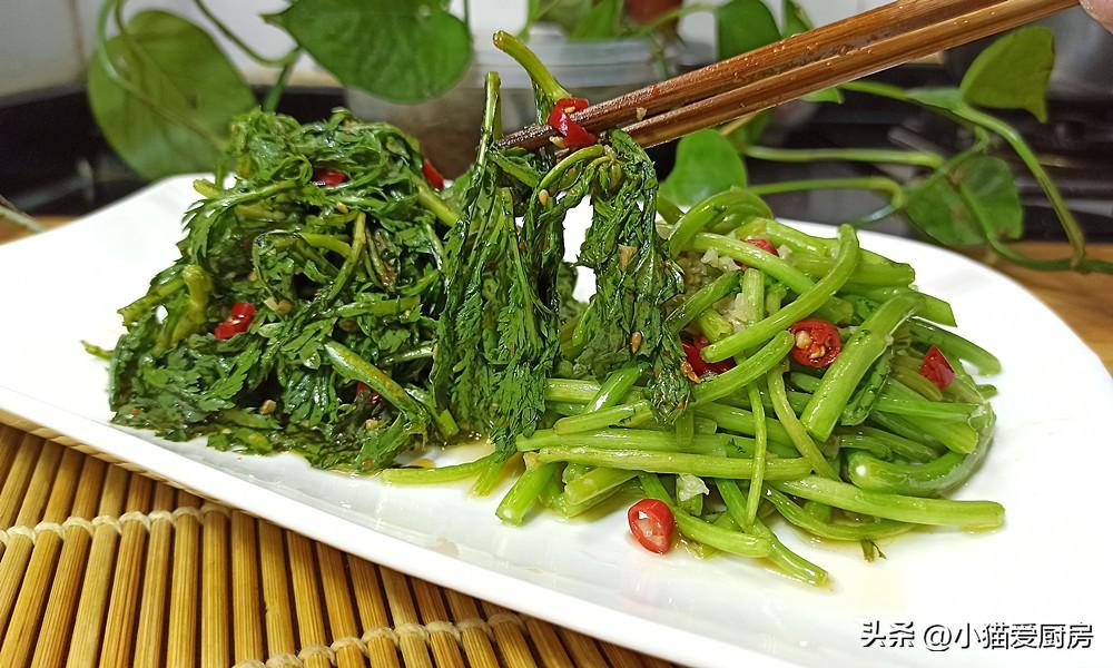 圖片[10]-【茼蒿兩吃】做法步驟圖 不同味道 特別爽口解膩-起舞食譜網(wǎng)