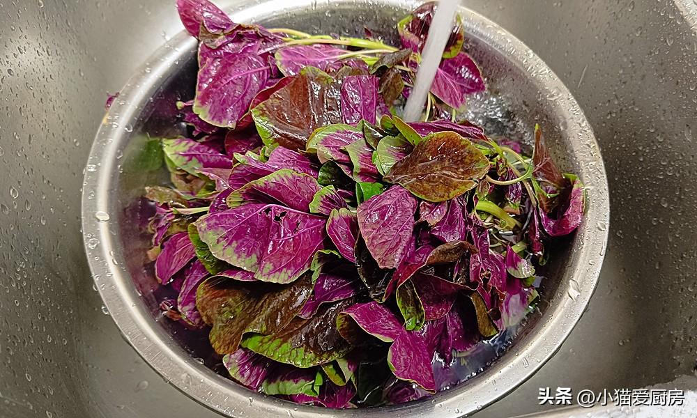 圖片[4]-【涼拌莧菜】做法步驟圖 特別爽口 非常適合夏天吃-起舞食譜網