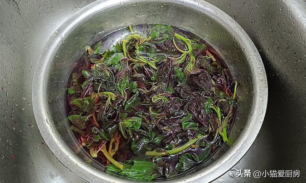 圖片[6]-【涼拌莧菜】做法步驟圖 特別爽口 非常適合夏天吃-起舞食譜網