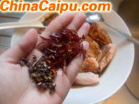 圖片[5]-中式口味烤翅-起舞食譜網