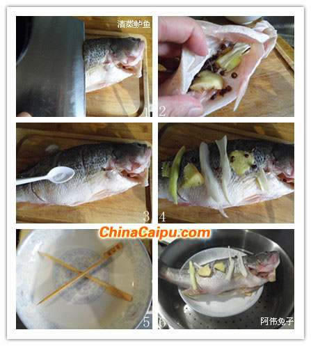 清蒸鱸魚（20）