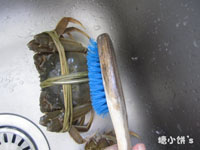 清蒸大閘蟹(13)