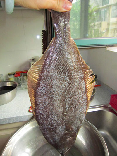 醬燜鴉片魚