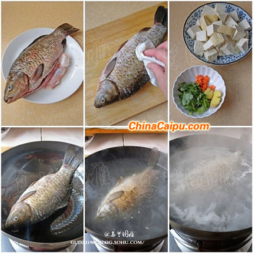 圖片[2]-鯽魚豆腐湯的做法 鯽魚豆腐湯怎么做-起舞食譜網
