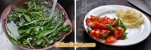 尖椒炒蘿卜纓