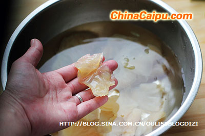 開胃菜--冰鎮(zhèn)酸辣蜇頭