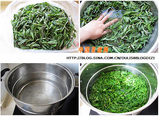 圖片[2]-麻醬拌山苜楂菜-起舞食譜網(wǎng)
