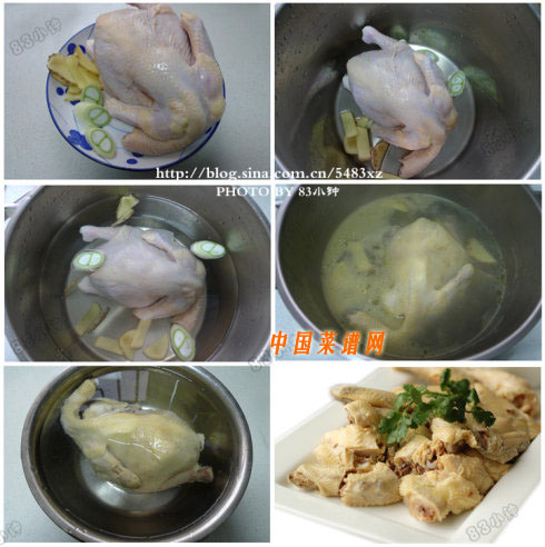 白斬雞（4）