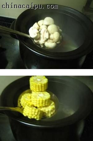 田園蔬菜龍骨湯