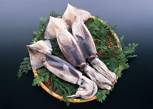 魷魚的營養價值大全
