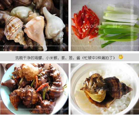 醬爆海螺