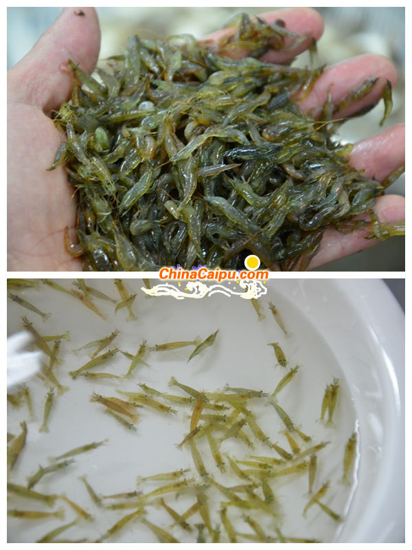 圖片[3]-卷餅小米蝦-起舞食譜網