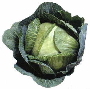 女人一生最需要的7種食物