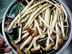 茶樹菇煲鳳爪