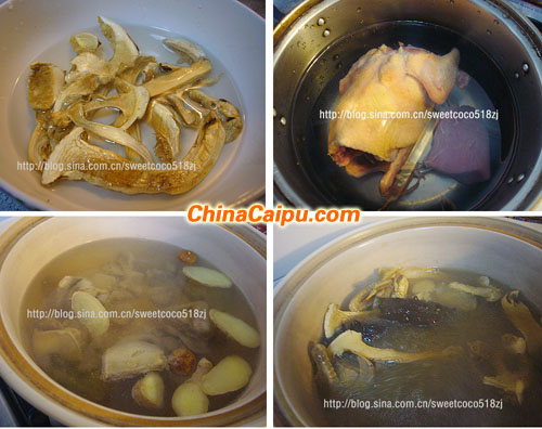 松茸海參鴿子湯