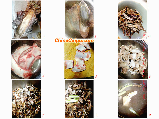 圖片[4]-月牙骨墨魚湯-起舞食譜網