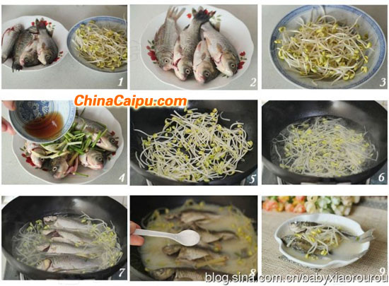 黃豆芽鯽魚湯--增乳營養湯
