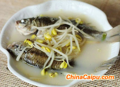 黃豆芽鯽魚湯--增乳營養湯
