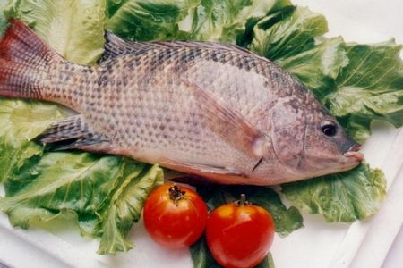 圖片[1]-飯桌上最常吃的6種魚 哪種最營(yíng)養(yǎng)-起舞食譜網(wǎng)
