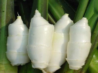 圖片[1]-8大常見癌癥的免死金牌-起舞食譜網(wǎng)