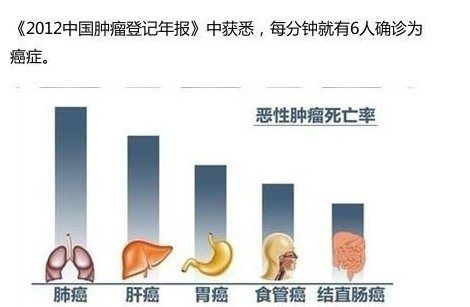 圖片[5]-10年后癌癥將光臨每一個家庭-起舞食譜網