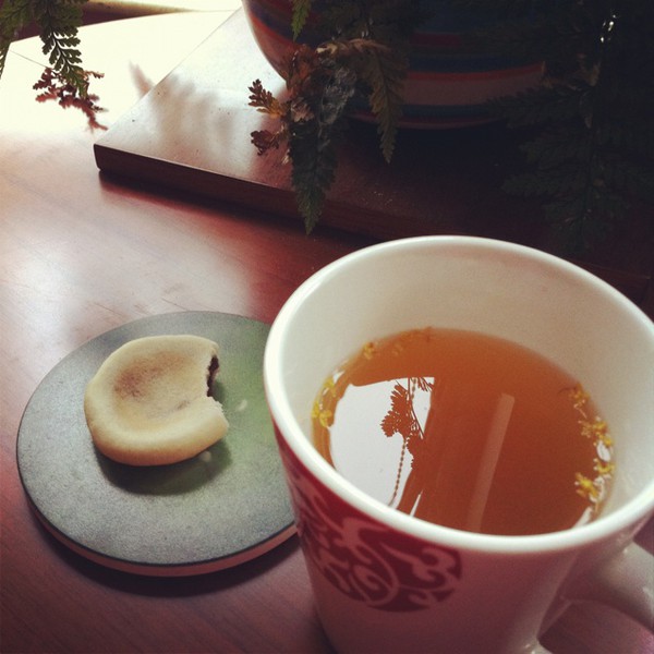 消脂減肥荷葉山楂蜂蜜減肥茶