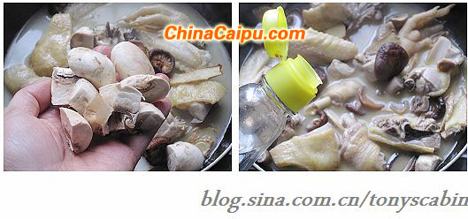 臺灣麻油雞