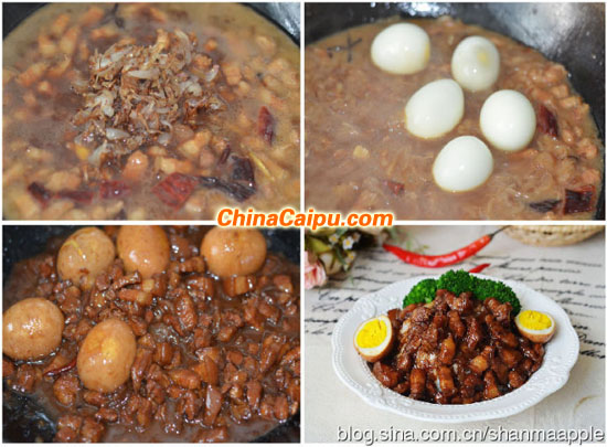 臺灣鹵肉飯(5)