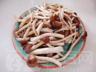 茶樹菇悶鴨肉